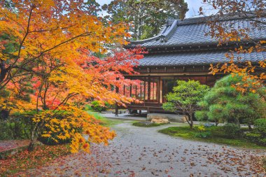 Geleneksel Ahşap Ev Kyoto 26 Kasım 2025 ile Serene Fall Zen Garden