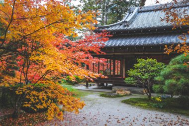 Geleneksel Ahşap Ev Kyoto 26 Kasım 2025 ile Serene Fall Zen Garden