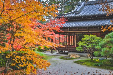 Geleneksel Ahşap Ev Kyoto 26 Kasım 2025 ile Serene Fall Zen Garden
