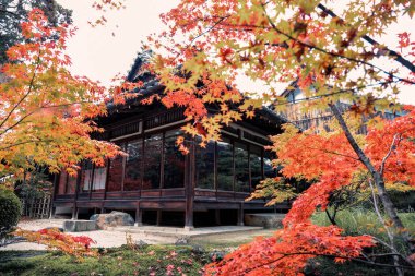 Geleneksel Ahşap Ev Kyoto 26 Kasım 2025 ile Serene Fall Zen Garden