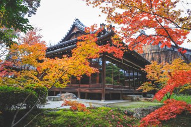 Geleneksel Ahşap Ev Kyoto 26 Kasım 2025 ile Serene Fall Zen Garden