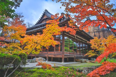 Geleneksel Ahşap Ev Kyoto 26 Kasım 2025 ile Serene Fall Zen Garden