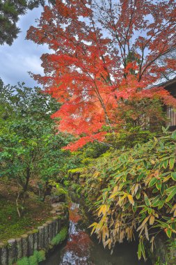 Tenju 'daki Serene Japon Zen Çay Evi Kyoto 26 Kasım 2025