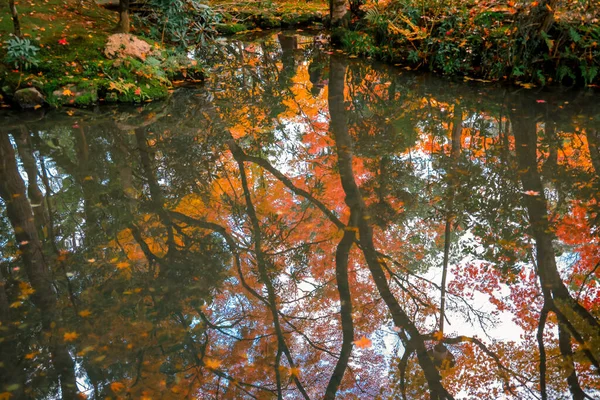 Huzurlu Sonbahar Zen Bahçesi Tenju 'daki Göl 26 Kasım 2025