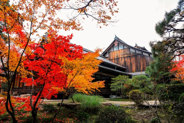 Geleneksel Ahşap Ev Kyoto 26 Kasım 2025 ile Serene Fall Zen Garden