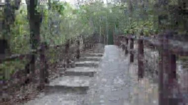 Yemyeşil dağ patikaları Tsing Yi Şubat 21 2026 boyunca Geniş Panoramaları gözler önüne seriyor.