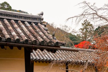 Geleneksel Budist salonu mevsimlik tapınak bahçeleriyle çevrili 26 Kasım 2025