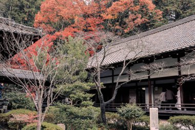 Geleneksel Budist salonu mevsimlik tapınak bahçeleriyle çevrili 26 Kasım 2025