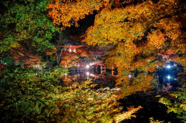 26 Kasım 2025 'teki tapınak göletinde canlı sonbahar yaprakları ve yansımaları.