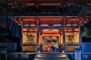 Kyoto 'nun 26 Kasım 2025 tarihli gece manzarası sırasında ışıkların altında parlayan tarihi giriş.