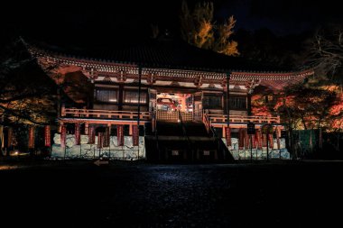 Kutsal Altın Salon 'da klasik Budist Tapınağı mimarisi 26 Kasım 2025 sergileniyor.