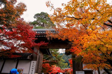 Geleneksel giriş canlı mevsimlik akçaağaç yapraklarıyla çevrili 26 Kasım 2025