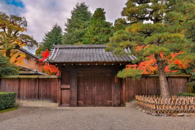 Geleneksel giriş canlı mevsimlik akçaağaç yapraklarıyla çevrili 26 Kasım 2025