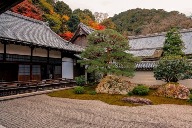 Geleneksel Zen kaya bahçesi, tırmıklanmış kum ve taşlarla, 26 Kasım 2025