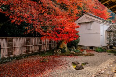 Geleneksel Zen kaya bahçesi, tırmıklanmış kum ve taşlarla, 26 Kasım 2025