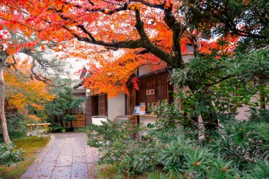 Tarihi Japon bahçe kapısı geleneksel ahşap tasarımı sergiliyor, 26 Kasım 2025