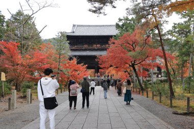 İnsanlar Kyoto parkında canlı kırmızı sonbahar akçaağaçlarıyla çevrili büyük Japon tapınağı kapısına doğru yürüyorlar.