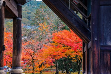 İkonik devasa kapı Zen Budist tapınağı mirasını simgeliyor.