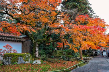 İnsanlar Kyoto parkında canlı kırmızı sonbahar akçaağaçlarıyla çevrili büyük Japon tapınağı kapısına doğru yürüyorlar.