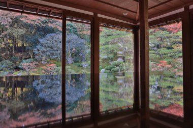 Eski tapınak alanı canlı akçaağaç yaprakları ve güneş ışığı ile süslenmiş 27 Kasım 2025