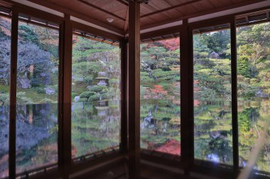 Eski tapınak alanı canlı akçaağaç yaprakları ve güneş ışığı ile süslenmiş 27 Kasım 2025