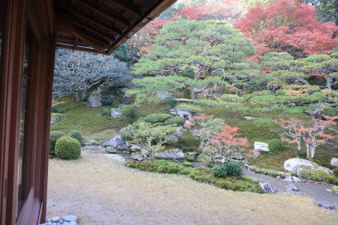 Eski tapınak alanı canlı akçaağaç yaprakları ve güneş ışığı ile süslenmiş 27 Kasım 2025