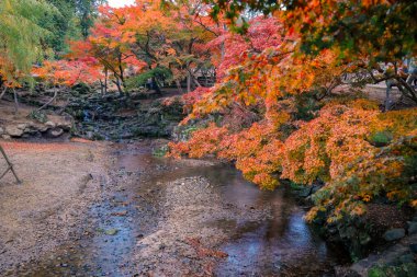 Renkli Sonbahar Yaprakları Serene Nehri Manzarasına Yansıtılıyor 27 Kasım 2025