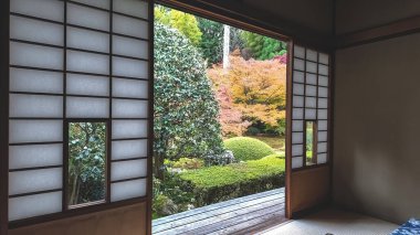 28 Kasım 2025 'te Kyoto Tapınağı' nın camlarından sonbahar akçaağaçları süzülüyor.