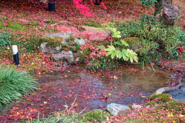 28 No 'lu Hogonin Tapınağı yakınlarında canlı bir sonbahar akçaağacı içeren sakin nehir manzarası.