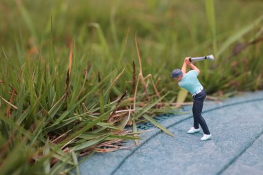 Küçük biblo çimenli bölgede dinamik golf salıncağı sergiliyor