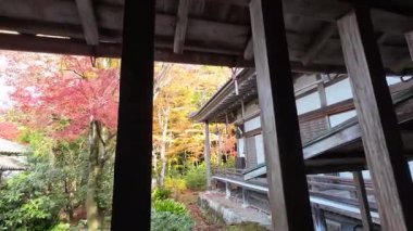 Sanzenin Tapınağı 23 Kasım 2025 'te yosun bahçeleri ve zarif salon mimarisine sahiptir.