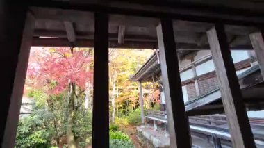 Sanzenin Tapınağı 23 Kasım 2025 'te yosun bahçeleri ve zarif salon mimarisine sahiptir.