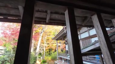 Sanzenin Tapınağı 23 Kasım 2025 'te yosun bahçeleri ve zarif salon mimarisine sahiptir.