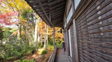 Sanzenin Tapınağı 23 Kasım 2025 'te yosun bahçeleri ve zarif salon mimarisine sahiptir.