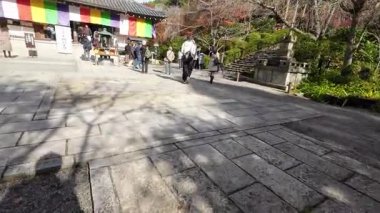 Sanzenin Tapınağı 23 Kasım 2025 'te yosun bahçeleri ve zarif salon mimarisine sahiptir.