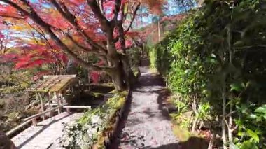 Sanzenin Tapınağı 23 Kasım 2025 'te yosun bahçeleri ve zarif salon mimarisine sahiptir.