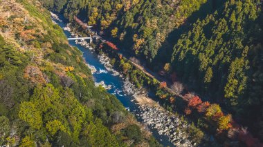 Nehir ve orman boyunca klasik bir turistik tren istasyonu.
