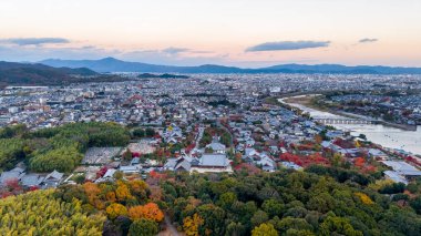 Gölcüklü ve sonbahar yeşillikli geleneksel Japon bahçesi.