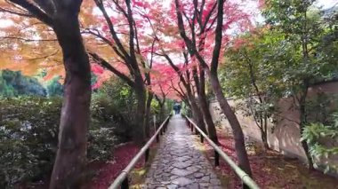 Koetsuji Tapınağı Bahçeleri, 24 Kasım 2025 'te işlenmiş kırsal zarafet sergiliyor.