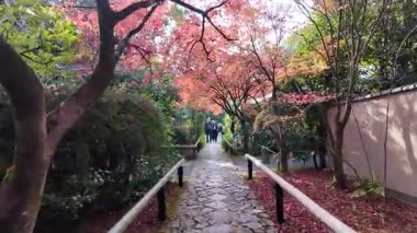 Koetsuji Tapınağı Bahçeleri, 24 Kasım 2025 'te işlenmiş kırsal zarafet sergiliyor.