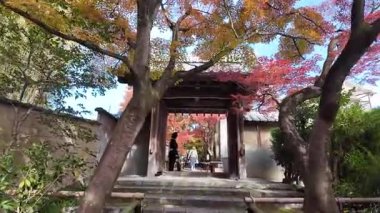 Koetsuji Tapınağı Bahçeleri, 24 Kasım 2025 'te işlenmiş kırsal zarafet sergiliyor.