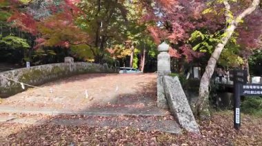 Şık Japon Köprüsü 27 Kasım 2025 'te Sessiz Nehir Altında