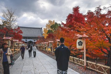 Tarihi Chishakuin Tapınağı 'nda sonbahar yeşilliği 28 Kasım 2025