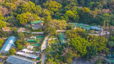 Teraslı çiftlik binaları 7 Mart 2026 'da yoğun yeşil doğal manzaraların arasına yerleştirildi.