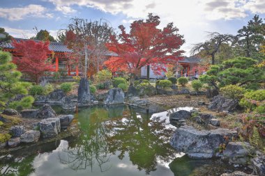 Yansıtıcı gölet ve 28 Kasım 2025 tarihli huzurlu tapınak bahçesi