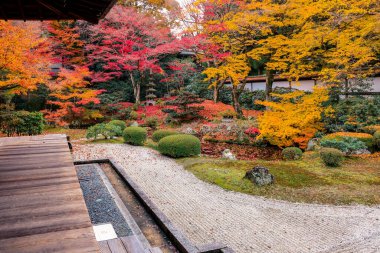Geleneksel mimari ve bahçelerin yer aldığı sakin Japon tapınağı 28 Kasım 2025