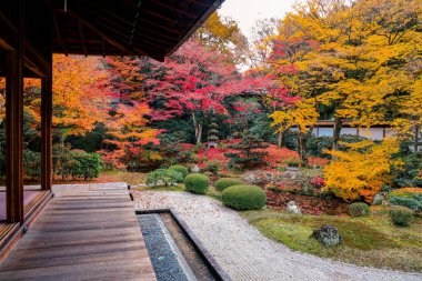 Geleneksel mimari ve bahçelerin yer aldığı sakin Japon tapınağı 28 Kasım 2025