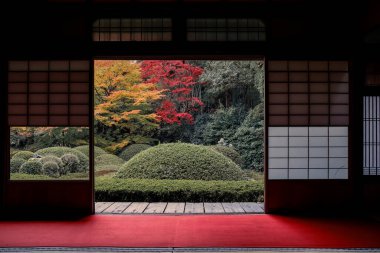 Huzurlu bir iç mekan, canlı bir sonbahar bahçesi, 28 Kasım 2025 tarihli akçaağaç manzaralı.