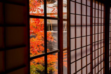 Sonbahar renkleri Unryu-in tapınak bahçelerine yayılıyor. Kyoto 28 Kasım 2025