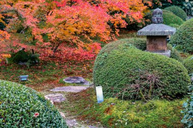 Unryu 'da sonbahar akçaağacı Zen Tapınağı bahçesinde Kyoto No 28 2025